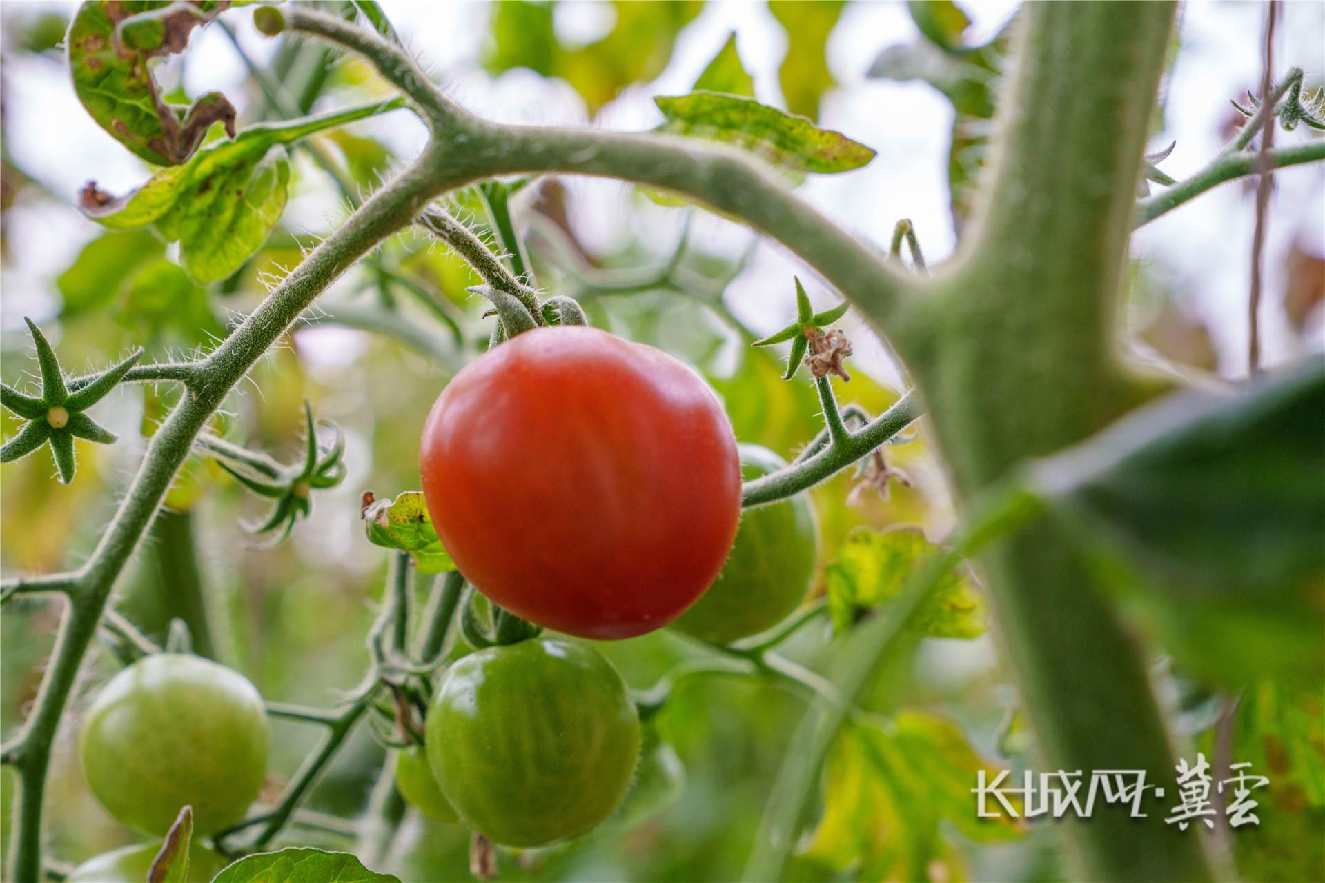 秦皇岛：科技点“废” 沃土生金